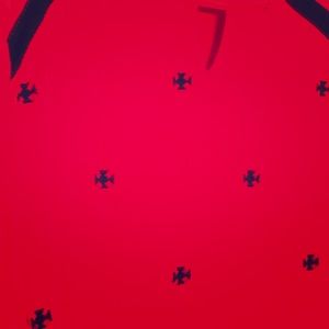 5x embroidered Shirt from Catherine’s